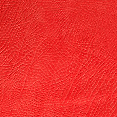 Image showing Red leather 