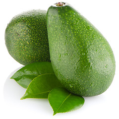 Image showing Avocados on white 