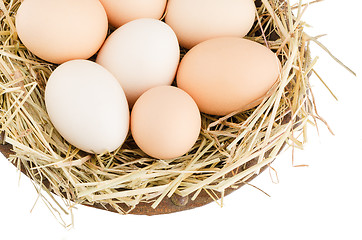 Image showing Eggs closeup