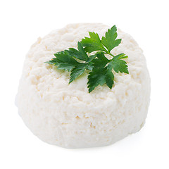 Image showing Cottage cheese 