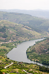 Image showing vineyars in Douro Valley