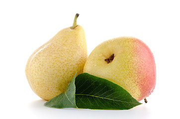 Image showing Two ripe pears