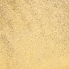 Image showing Yellow leather