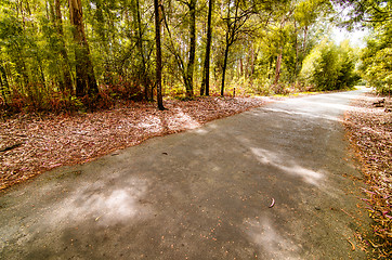 Image showing Road in autumn wood