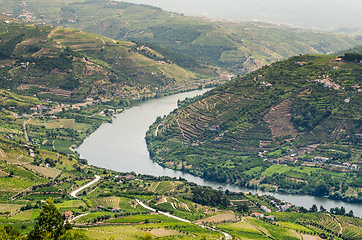 Image showing vineyars in Douro Valley