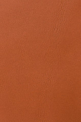 Image showing Yellow leather