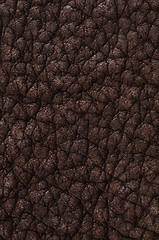 Image showing Brown leather texture closeup