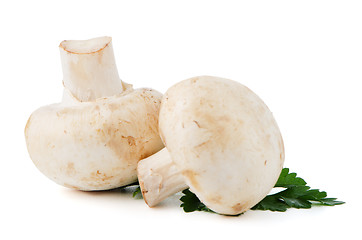 Image showing Champignon mushrooms and parsley leaves 