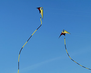 Image showing Two stunt-kites