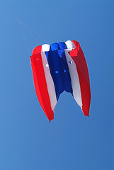 Image showing Tri-colour kite