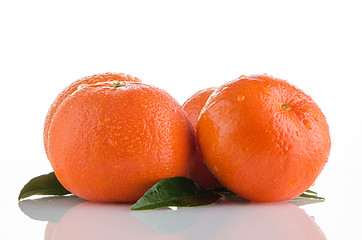 Image showing Ripe tangerines or mandarin