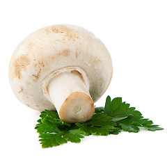 Image showing Champignon mushroom and parsley leaves 