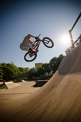 Image showing BMX Bike Stunt bar spin