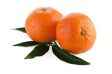 Image showing Ripe tangerines or mandarin