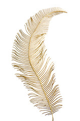 Image showing Christmas decorative golden feather