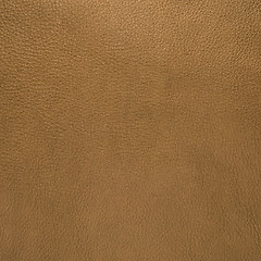 Image showing Golden color leather