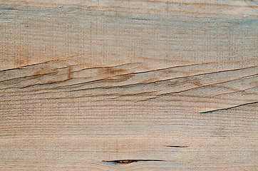 Image showing Wood texture