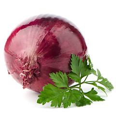 Image showing Red onion tuber and fresh parsley