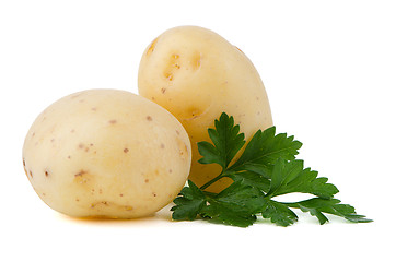 Image showing New potatoes and green parsley