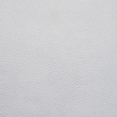 Image showing White leather texture