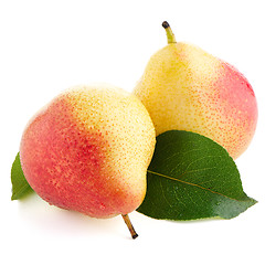 Image showing Two ripe pears