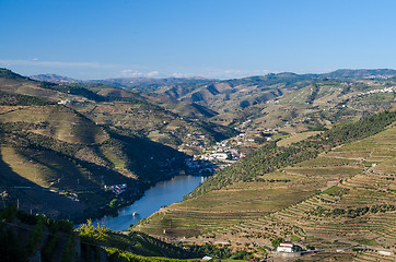 Image showing vineyars in Douro Valley