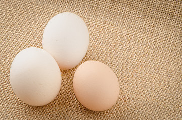 Image showing Three eggs