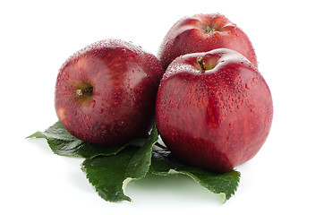 Image showing Ripe red apples