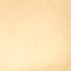 Image showing Beige leather