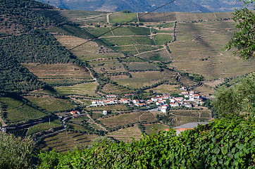 Image showing vineyars in Douro Valley