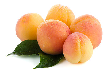 Image showing Five sweet peaches