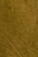 Image showing Green leather