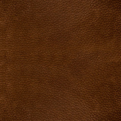 Image showing Suede background