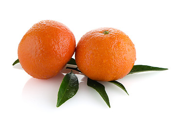 Image showing Ripe tangerines or mandarin