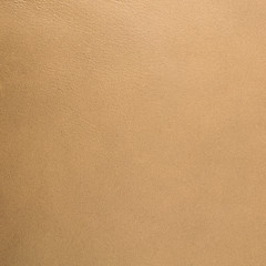 Image showing Golden color leather