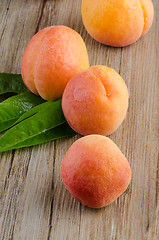 Image showing Apricots with leaves