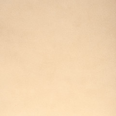 Image showing Beige leather