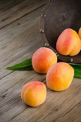 Image showing Apricots with leaves