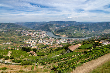 Image showing Regua, vineyars in Douro Valley