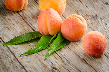 Image showing Apricots with leaves