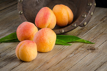 Image showing Apricots with leaves