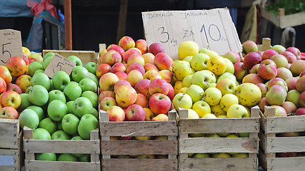 Image showing Apples