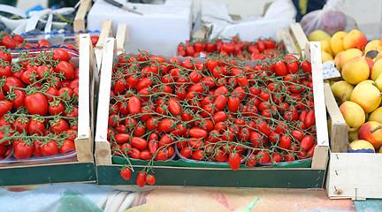 Image showing Cherry Tomato