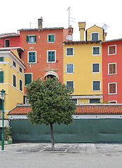 Image showing Color Houses