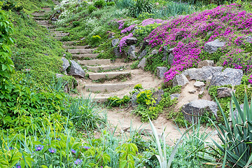 Image showing Stone steps and beautiful flowers.