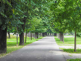 Image showing Dalla Chiesa park in Collegno