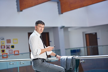 Image showing business man using phone