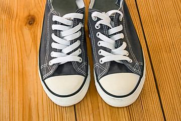 Image showing Pair of sneakers on the wooden shield