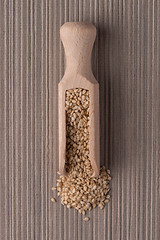 Image showing Wooden scoop with sesame seeds