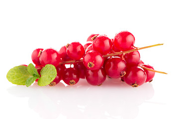 Image showing Red Currant